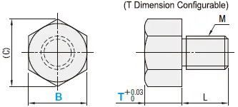 Set Pin Dimensional Drawing