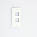 Flat-Blade Plate for Outlet, 15 A for Dual Horizontal (1041A) 