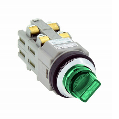 ø30 Series Illuminated Selector Switch, ASLN Type (ASLN22611DNG) 
