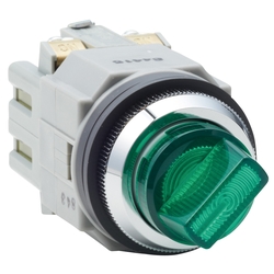 ø30 Series Illuminated Selector Switches ASLN Type Ⅱ (ASLN222220DNG) 