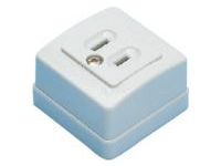 Domestic Blade Model Outlet-Exposed Outlet/2-Prong, 2-Prong + Ground Model (WK3001W) 