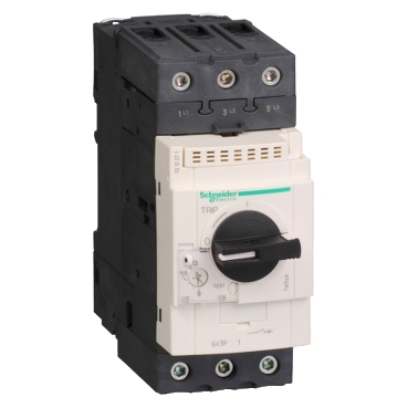 Thermal Magnetic Motor Circuit Breaker TeSys GV3