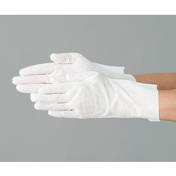 Cleanroom Gloves (SL Type) (610-5030S)