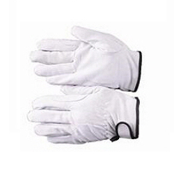 Argon Gloves (Pig Skin)