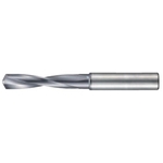End Mill Shank Drill 3 × D for Carbide Processing H 1946 (1946-005.000) 