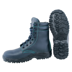 Safety Shoes (WK-508NR)