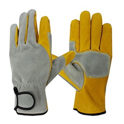 Argon Liner Gloves (Premium) Yellow