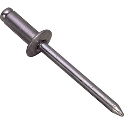 Blind Rivet (Stainless Steel/Made of Stainless Steel), Comes in Box (NST5-5)