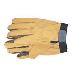 Argon Gloves (A Type)