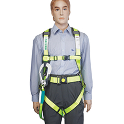 Full Body Safety Belt (Manual S/T Buckle)
