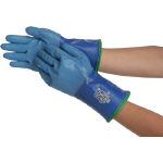 Winter Gloves Image