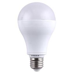 LED Electric Bulb