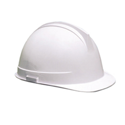 Safety Helmet (809)