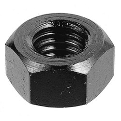 Hex Nut