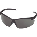 Twin-Lens Safety Glasses TSG-9146