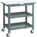 Workbench Auxiliary Tables/Trolleys, Uniform Load 100 kg (WHT-4560H)