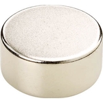 Neodymium Magnet (Round) (TN6-2RA-1P) 
