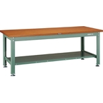 Medium Work Bench with Lower Shelf Average Load (kg) 2000 (RDW-900LT)