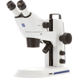 Greenough stereomicroscope Stemi508 (ring illumination/double spot illumination)