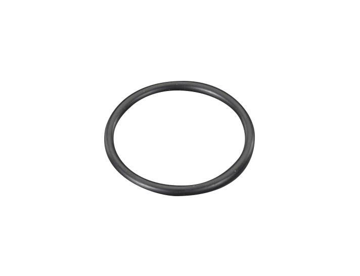 O-Ring (for Fixing)
