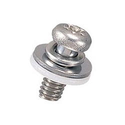 Stainless Steel Pan-Head Set Screw (With SW / PW / KW), Large U-0000-S2N/S2T