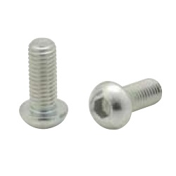 20/30/40 Series Button Bolt with Hex Socket CSD