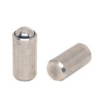 Stainless Steel Case Plunger (Cylinder Type) (SBPC)