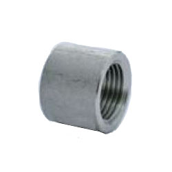 Stainless Steel Screw-in Pipe Fitting, Half Tapered Socket (304HPTS-25) 