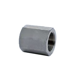 Stainless Steel Screw-in Pipe Fitting, Hex Socket (304STS-25) 