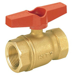 Brass General-Purpose Type 400 Screw-in Ball Valve (T-Shaped Handle) (TT-8A) 