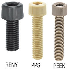 Plastic Hex Socket Head Cap Screws/PEEK/PPS/RENY (RENB10-20) 