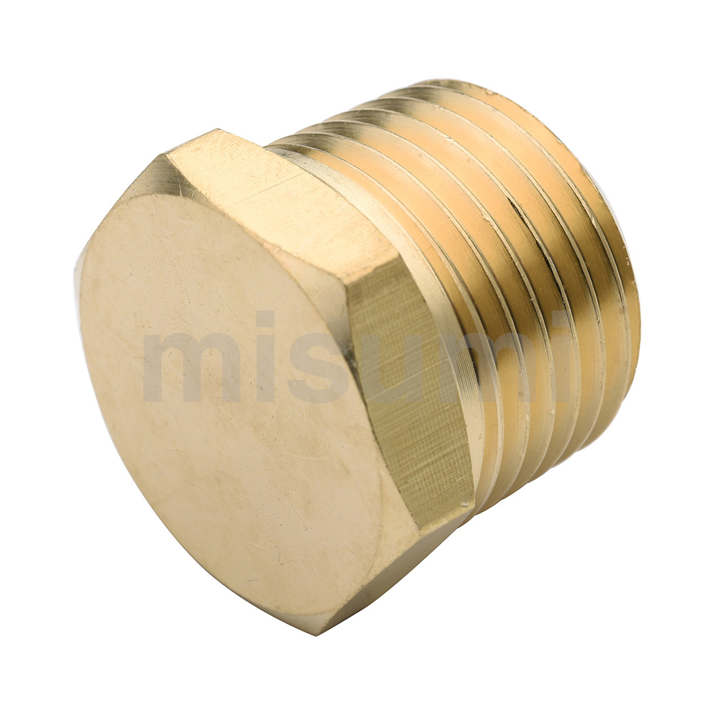 Brass Screw-In Fittings Male Plug (E-SJSPG6A) 