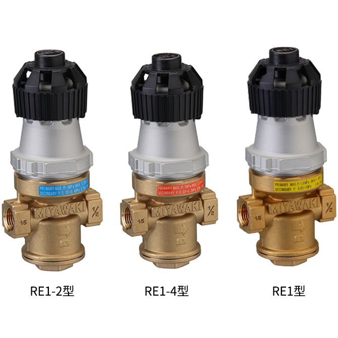 Direct Acting Steam Pressure Reducing Valve - RE1 Type (RE1-2-25) 