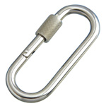 stainless steel petit carabiner (with ring)