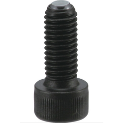 SCB-F/SCBS-F Clamping Bolt