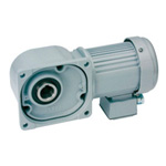 Gear Motor Hollow Shaft/Solid Axis・ Waterproof Motor Mounted(IP65・ Output Shaft Material SUS420J2)