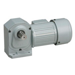 Gear Motor Parallel Axis・Outdoor Brake Motor Mounted(IP65・ Output Shaft Material S43C) 