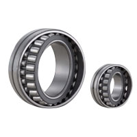 Self-Aligning Roller Bearing (Double Row) (23032EAD1) 