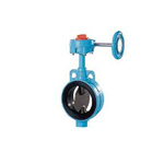 Butterfly Valve 602A-G (Gear Type), Rubber Seated (602A-G-11/2B-10K) 