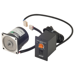 Unit-Type Speed Control Motor US Series of Overheat Protection Type (US206-002E2) 