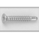 Cross Recessed Small Flat Head Tapping Screws, 2 Models with Guide, BRP Shape, G=5 D=7 (CSPLCSB7-SUSGJB-TP4-30) 