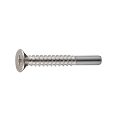 Cross Recessed Flat Head Tapping Screws, 2 Models with Guide, BRP Shape, G=10 (CSPCSSG-SUS-TP4-30) 
