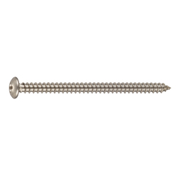 Cross Recessed Small Head Truss Tapping Screw, Type 1 A Shape (CSPTRSK-SUSSP2-TP4-10) 