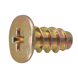 Type 2B-O Extra-Low Phillips Head Tapping Screw Without Grooves (AHN) (CSPELS2-STN-TP3-10) 
