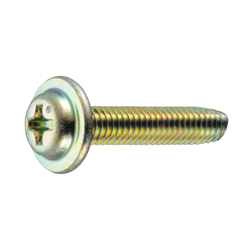 Tap-Tight Screw with SP Washer S Type (CSPPNHNDSPS-STN-TPT3-10) 