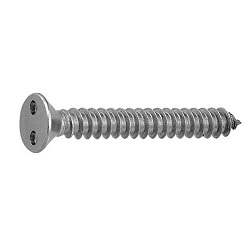 TRF/Tamper-Proof Screw, Stainless Steel, Two-Hole, Plate Tapping Screw (4 models, AB type) (CS2CST-SUS-TP4.2-16) 