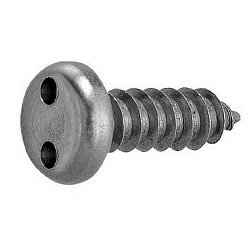 TRF/Tamper-Proof Screw, Stainless Steel, Two-Hole, Pot Tapping Screw (4 models, AB type) (CS2PNT-SUS-TP4.2-50) 
