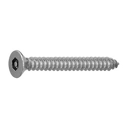 TRF/Tamper-Proof Screw, Stainless Steel Pin with Hexagonal Hole, Small Plate Tapping Screw (4 models, AB type) (CSRCST-SUS-TP3.5-10) 