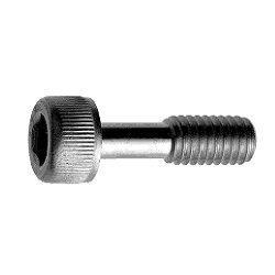 Stainless Steel Bolt with Hex Socket (Loss Prevention Screw) (CSHHFI-SUS-M4-8) 