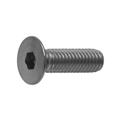 Steel Hex Socket Head Bolt (Plate Cap Screw) (JIS Standard) (CSHCSH-ST-M10-65) 